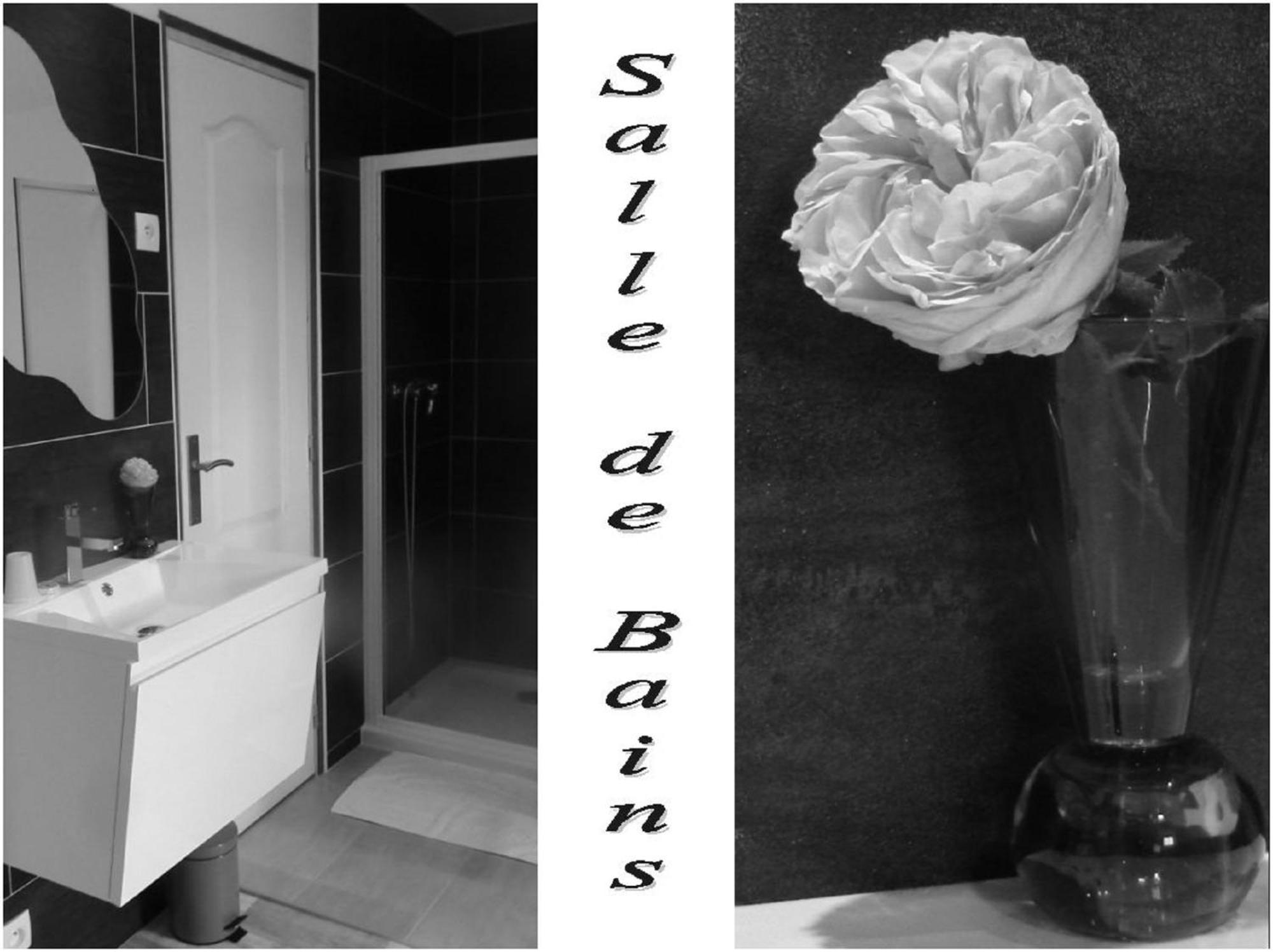 Bed and Breakfast La Bastide Du Moulin - Mont St Michel Moidrey Номер фото